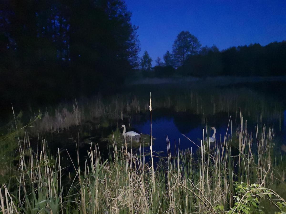 Mazurski Staw Goldap Bagian luar foto